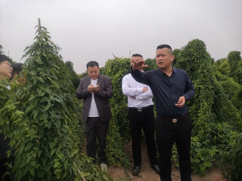 吳總