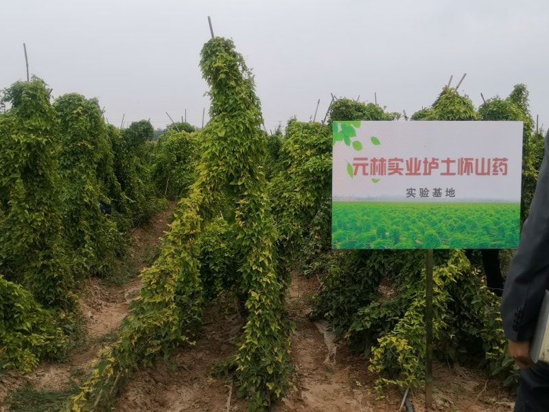 實(shí)驗基地牌子