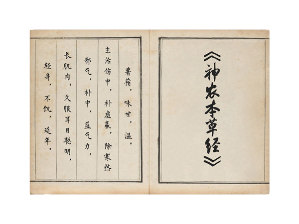 圖片2