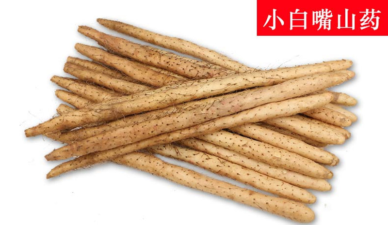 圖片1